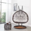 Hanging Egg Chair Swing Chair