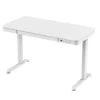 Ergo Smart Height-Adjustable Desk - Image 19